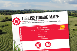 LG31.152 Forage Maize. First choice BSPB/NIAB. Ultra early harvest with exceptional yield.
