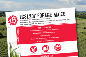 LG 31.207 Forage Maize. Performance that impresses! Rapid establishment and vigorous growth right from the start, quality and performance assured.