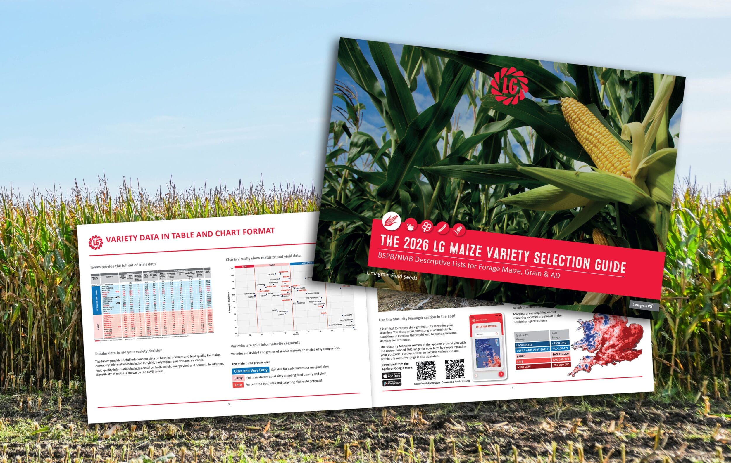 New Maize Variety Selection Guide for 2026