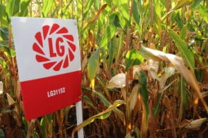 LG31.152