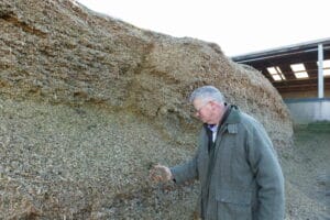 Hamish holding ensiled LG Highlight Maize in a clamp