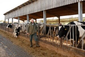 Hamish McIntosh standing in front of his dairy herd at Hardwell Farm, with cows gathered behind him in an outdoor paddock. He is smiling and dressed in practical farm clothing, reflecting his role managing a 400-cow milking herd and maize-based forage system.