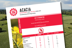 A thumbnail of the Acacia technical data summary for 2026. A consistently performing variety with a growth habit ideal for early drilling.