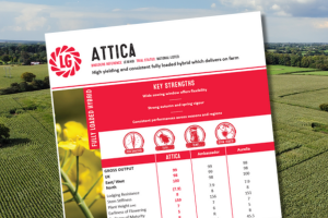 A thumbnail for LG Attica technical data summary for 2026. LG Attica is a high yielding and consistent fully loaded hybrid which delivers on farm
