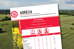 A thumbnail of the Aurelia technical data summary for 2026. A Fully loaded hybrid and long the benchmark for UK OSR performance on farm.