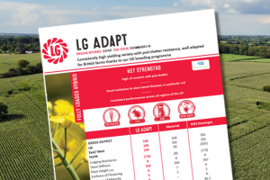 A thumbnail of the LG Adapt technical data summary for 2026. LG Adapt is a consistently high yielding variety with pod shatter resistance, well adapted for British farms thanks to our UK breeding programme