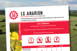 A thumbnail of the LG Anarion technical data summary for 2026. A Fully loaded clubroot tolerant variety, high yielding with rapid autumn and very good winter hardiness.