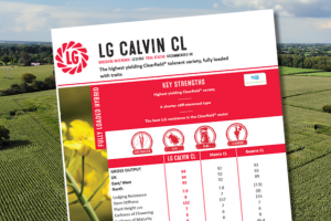 A thumbnail for LG Calvin CL technical data summary for 2026. The highest yielding Clearfield® tolerant variety, fully loaded with traits.