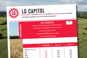 A thumbnail of the LG Capitol winter wheat technical data summary. The highest yielding 2-row on the Recommended List.