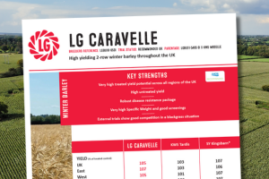 A thumbnail of the LG Caravelle winter wheat technical data summary. A High yielding 2-row winter barley throughout the UK.