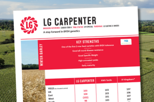 A thumbnail of the LG Carpenter winter wheat technical data summary. A step forward in BYDV genetics.