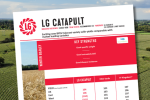 A thumbnail of the LG Catapult winter wheat technical data summary. An exciting new BYDV tolerant variety with yields comparable with market leading varieties.