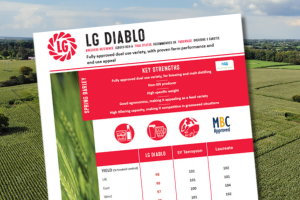 The technical summary for LG Diablo, a fully approved dual use variety, with proven farm performance and end use appeal