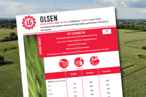 The technical summary for Olsen, a dual purpose variety with high yields, particularly in the east of the country.
