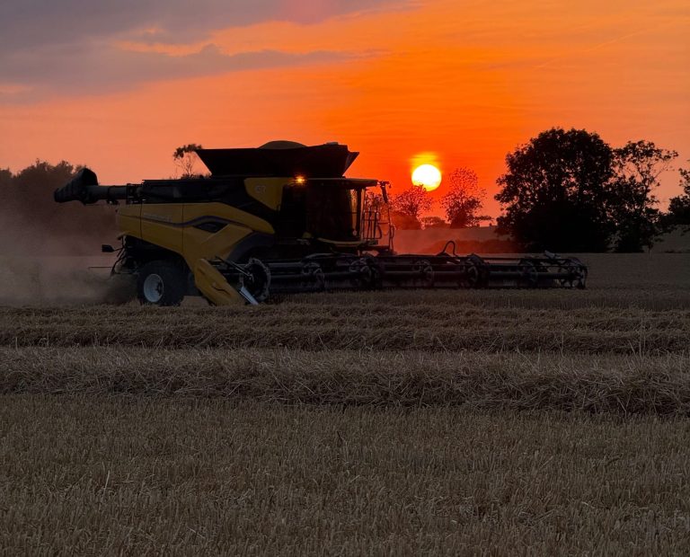 crusoe wheat being harvested in Suffolk 2026