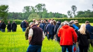Farmers walking through a crop trial site during a farm demonstration day at Dennington Hall Farms