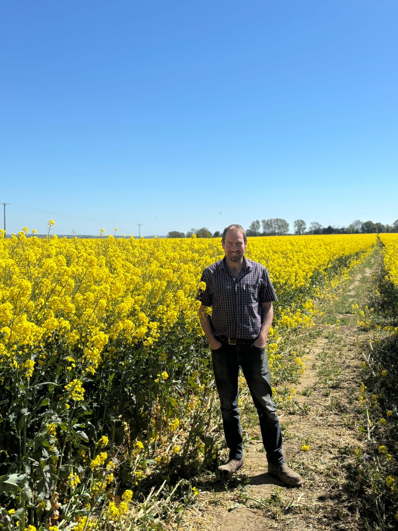 Andrew stood in his oilseed rape field
